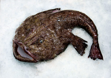 9 Νόστιμα ψάρια για θεσπέσιες ψαρόσουπες-3