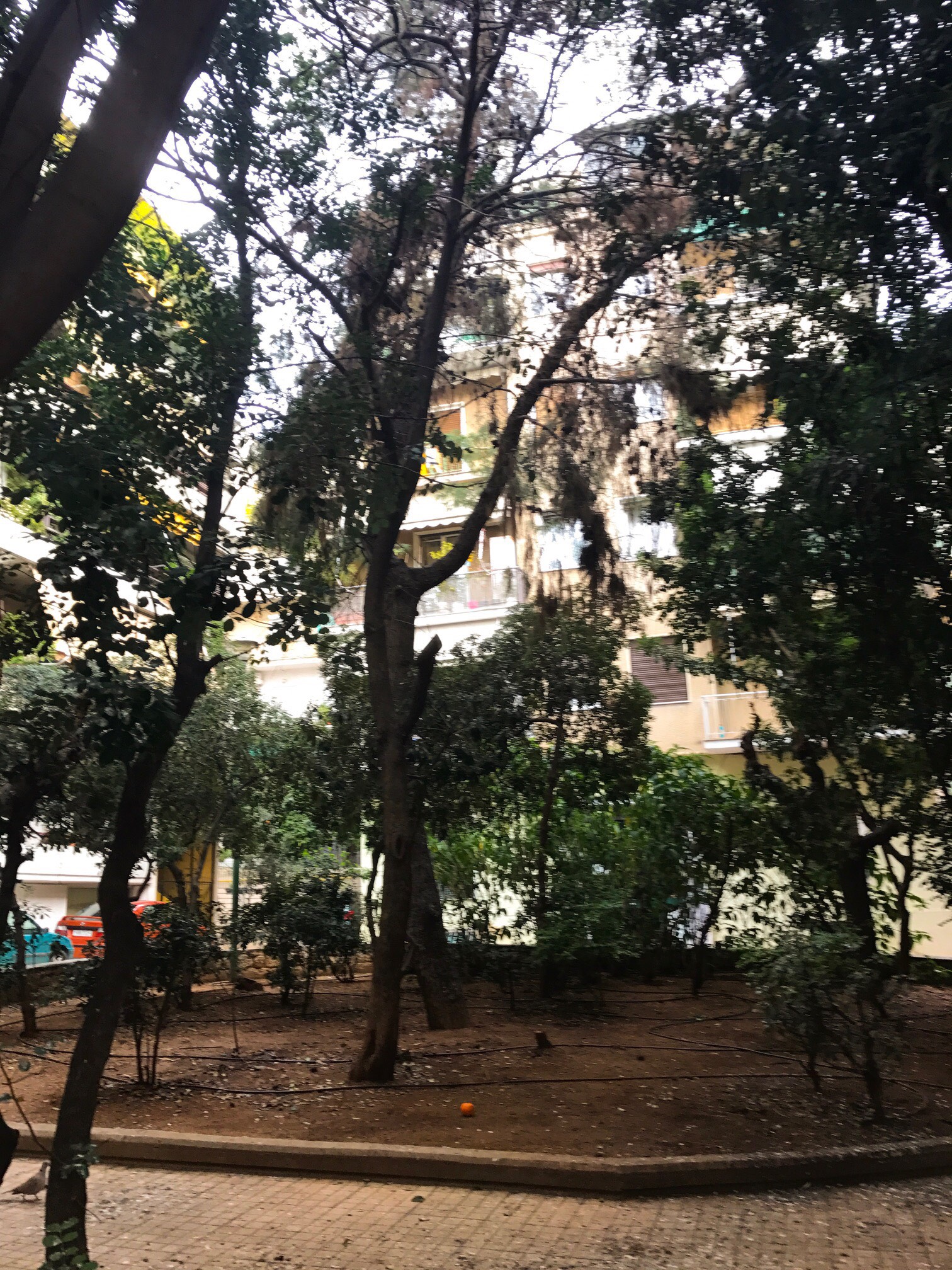 O ρομαντικός απόηχος της κοινότοπης οδού Βάλτου-1