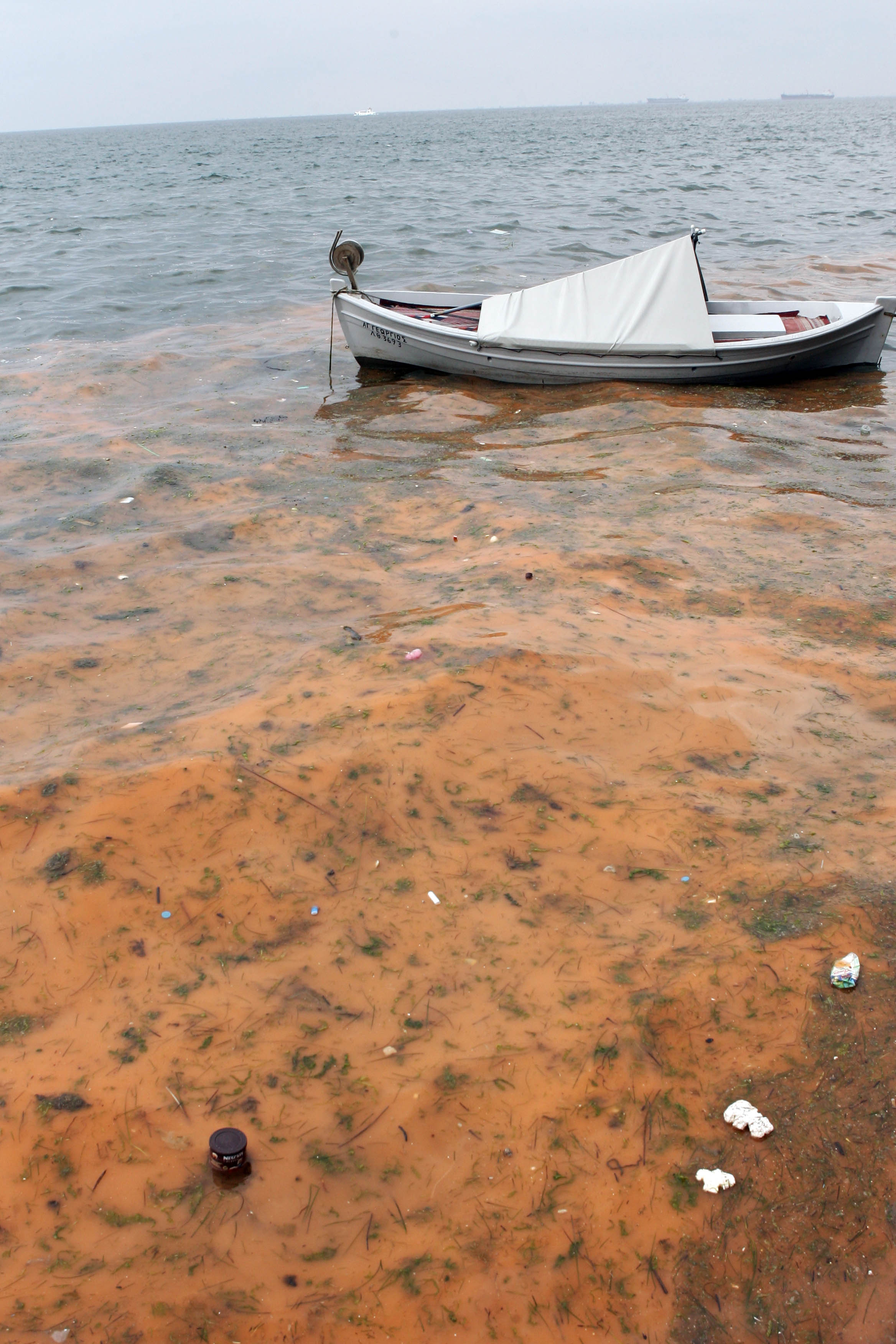 Κόκκινος «βάφτηκε» ο Θερμαϊκός στη Θεσσαλονίκη – Τι είναι το φαινόμενο της «ερυθράς παλίρροιας» (ΦΩΤΟ)-2