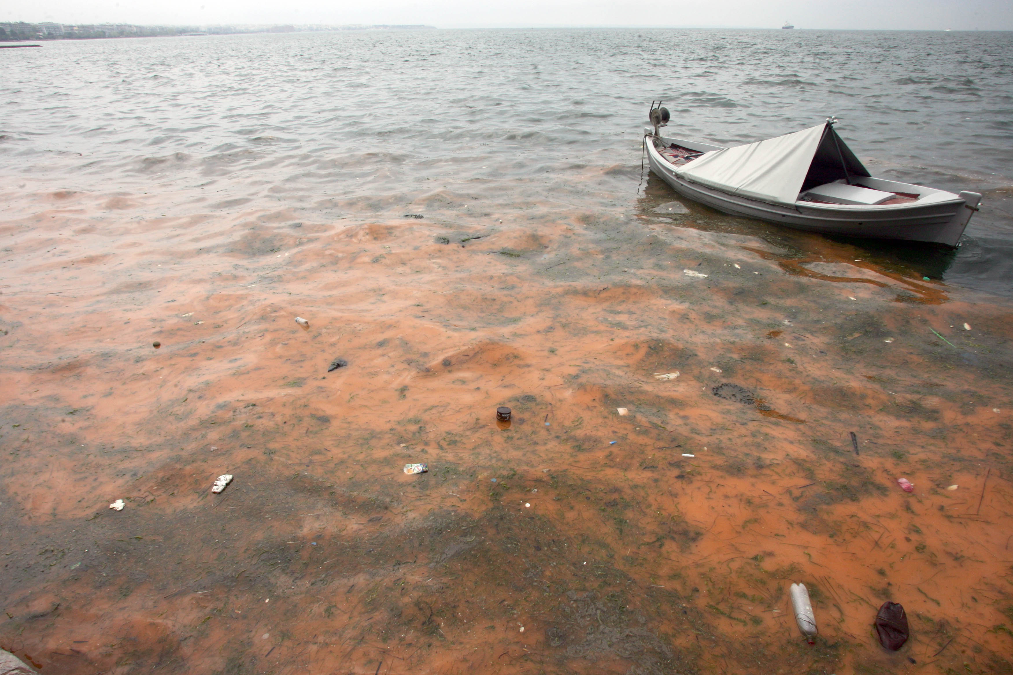 Κόκκινος «βάφτηκε» ο Θερμαϊκός στη Θεσσαλονίκη – Τι είναι το φαινόμενο της «ερυθράς παλίρροιας» (ΦΩΤΟ)-1