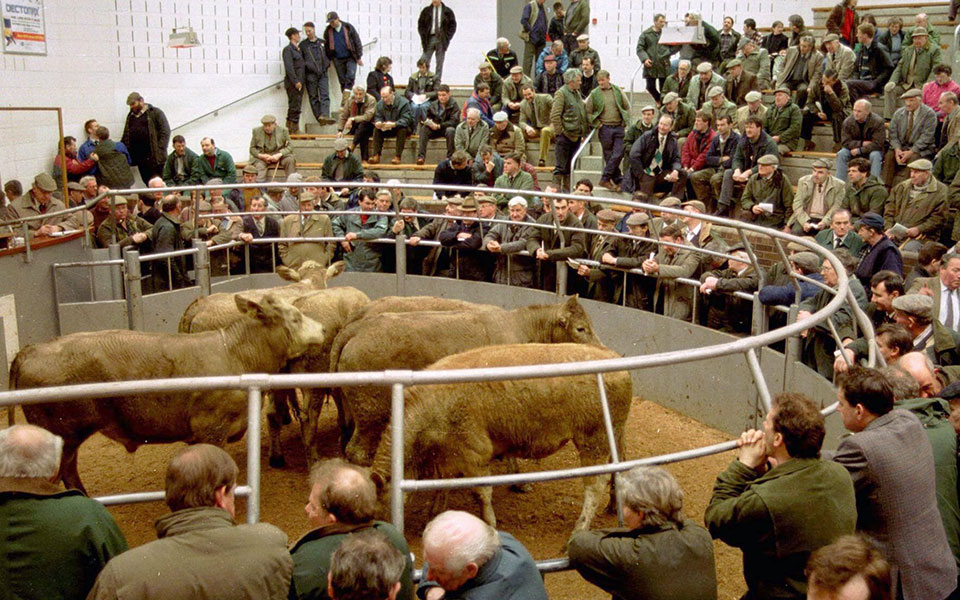 Flashback στην 22α Μαρτίου-4