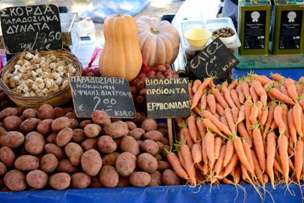 Ιωάννα Βόλη: Γλυκοπατάτες από την Ερμιονίδα-1