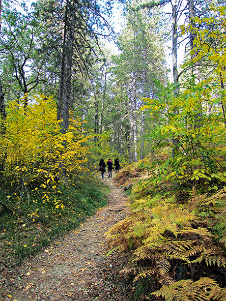 Όρος Τρόοδος: Εκεί που φυτρώνουν οι λατζιές-2