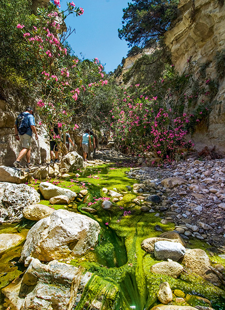 Χερσόνησος Ακάμα: ανέγγιχτη ομορφιά-1
