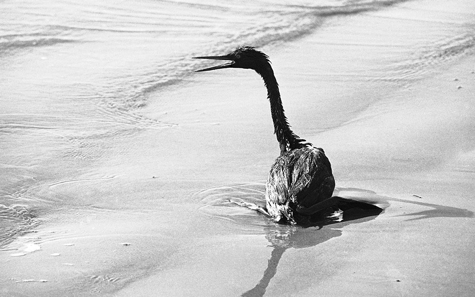 Flashback στην 11η Απριλίου-2