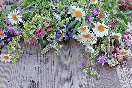 Πρωτομαγιά: Τα έθιμα, το μαγιάτικο στεφάνι και τα αρχέγονα λατρευτικά στοιχεία-1