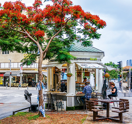 Το  Τελ Αβίβ από το Α  έως το Ω-3