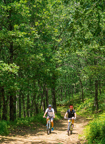 Χαλκιδική: μια αγάπη για το καλοκαίρι-3