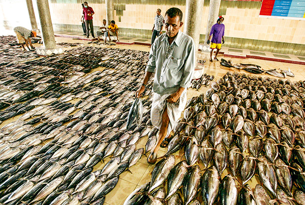 Μαλδίβες: είναι ωραία στον παράδεισο;-1