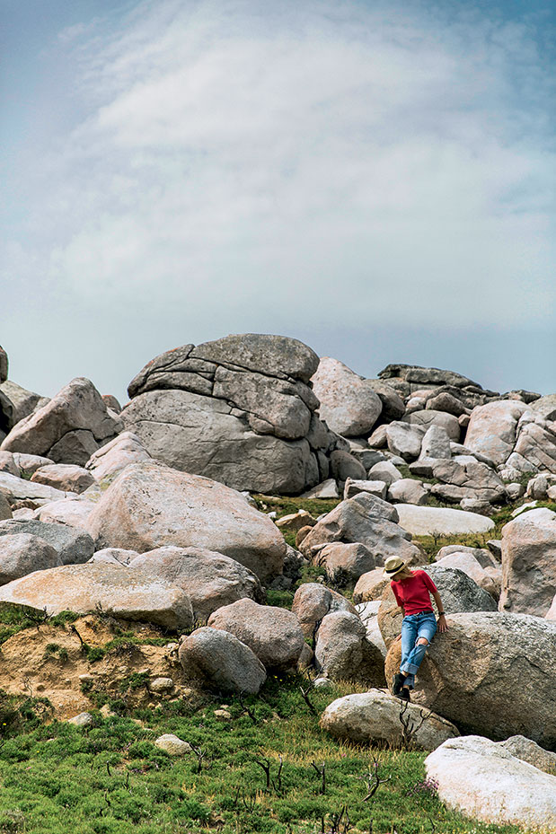 Τήνος: κάτι τρέχει-1