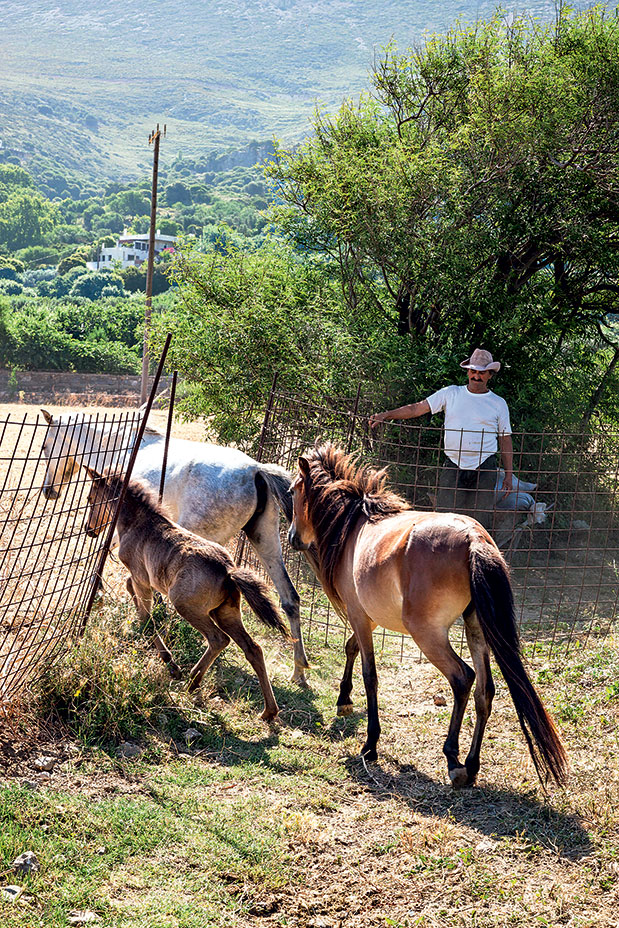 Σκύρος: Με δύναμη από τις σποράδες-1