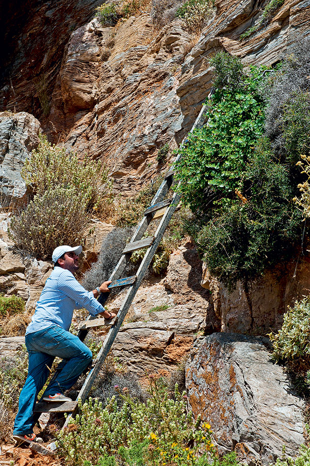 Κύθνος: Η άγνωστη «γειτόνισσα»-1
