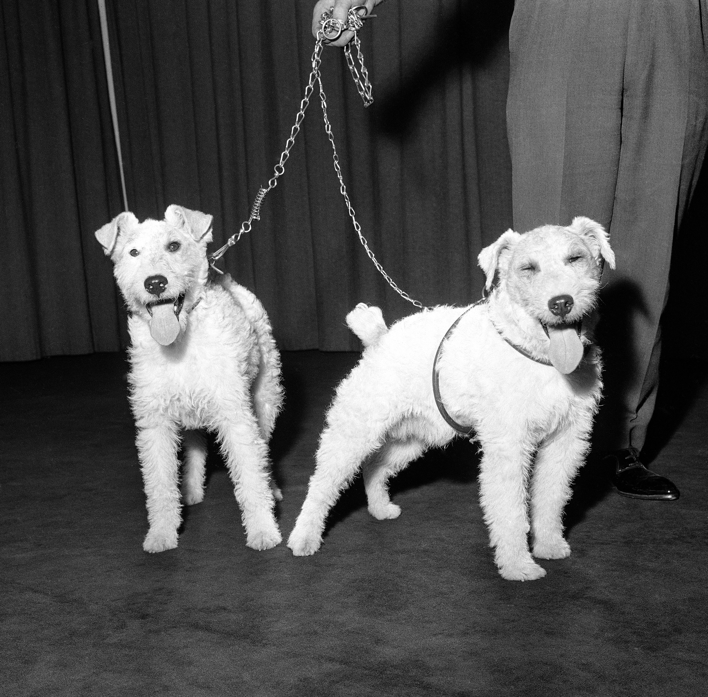 Flashback στην 3η Ιουλίου-1