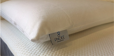 Η εταιρία PNOEE εισάγει πρώτη στην Ελλάδα την περίοδο δοκιμής, στην αγορά του στρώματος-1