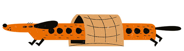 Mε τον σκύλο μου παρέα-1