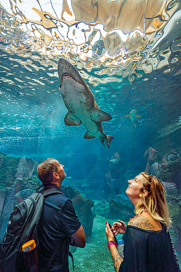 Νομός Ηρακλείου – Εδω περνάμε καλά-4