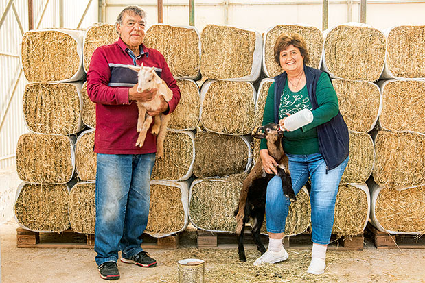 Η Σέριφος σαν ψίθυρος-5