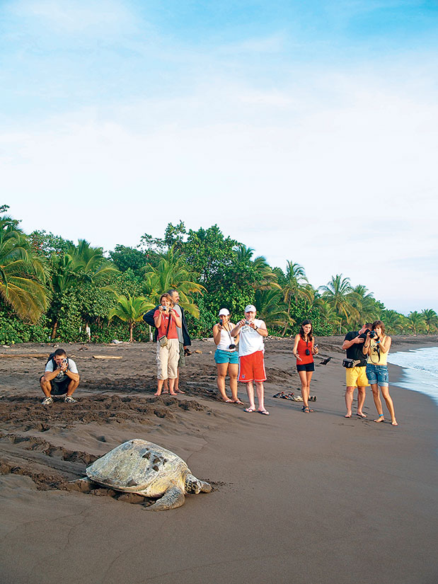 «Πλουτίζοντας» στην Κόστα Ρίκα-1