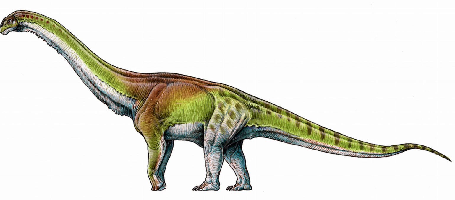 Ο Παταγοτιτάν είναι πλέον ο μεγαλύτερος δεινόσαυρος που υπήρξε στη Γη (ΦΩΤΟ)-1