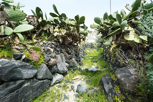 Το αίνιγμα της Θηρασιάς-4