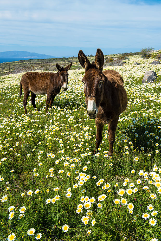 Το αίνιγμα της Θηρασιάς-3