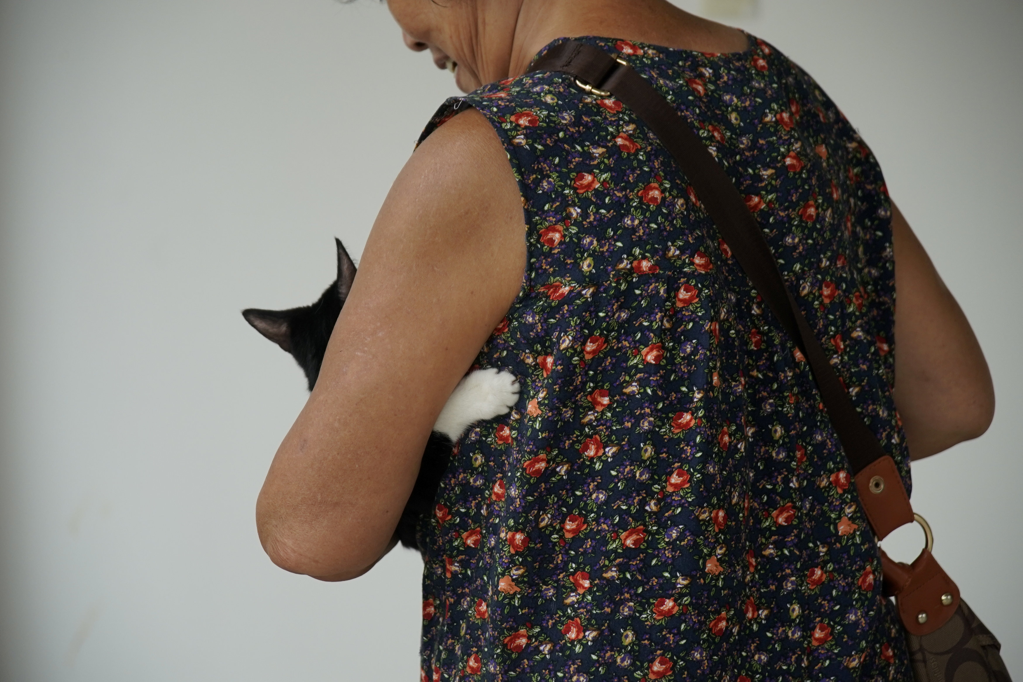 Κίνα: Βελονισμός για κατοικίδια-2