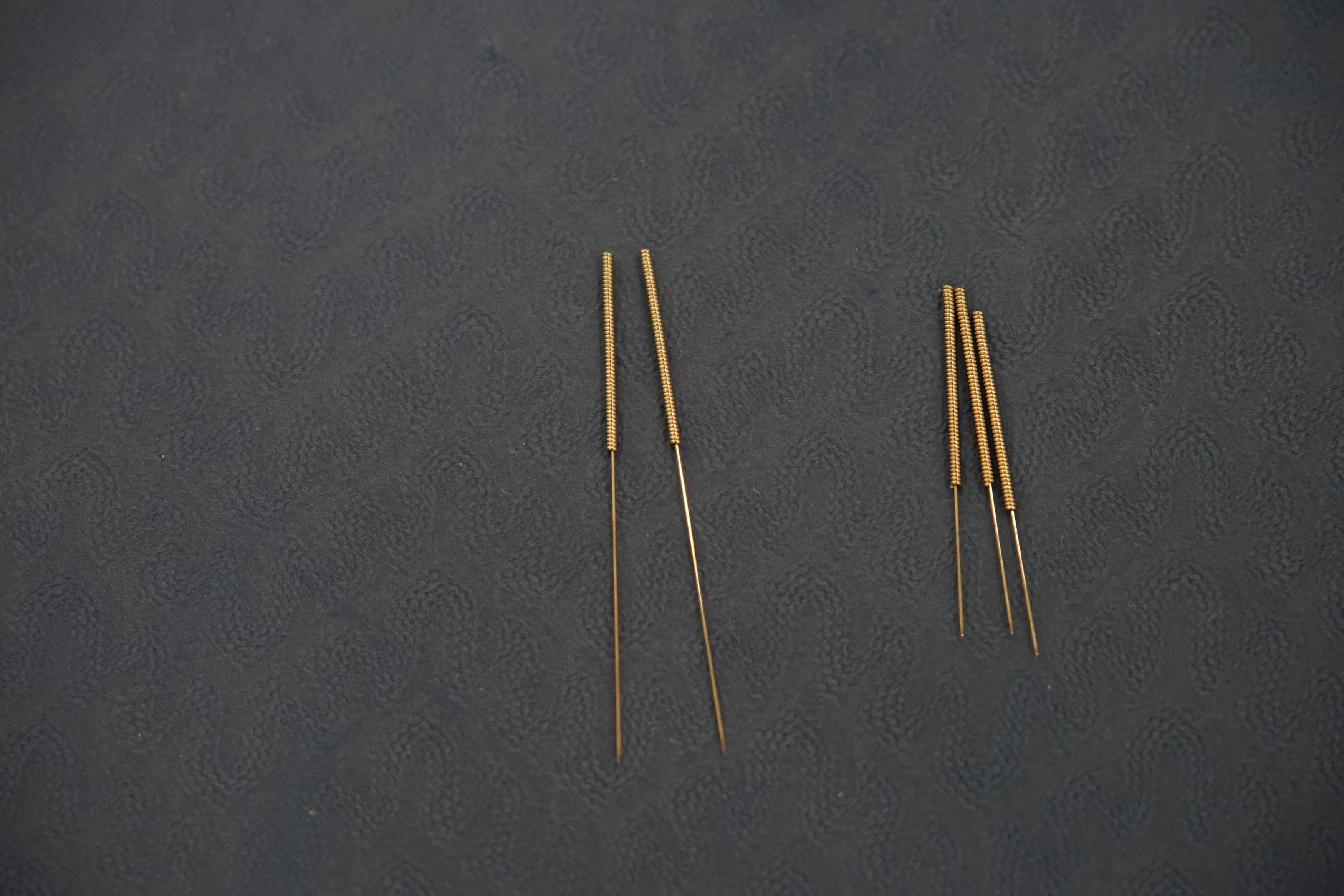 Κίνα: Βελονισμός για κατοικίδια-8