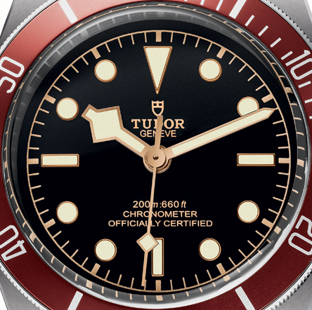 Η Lady Gaga είναι η νέα πρέσβειρα της TUDOR-6