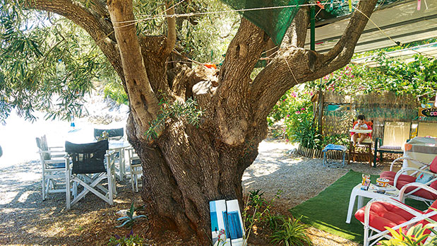 Ματιές στο καλοκαίρι-4