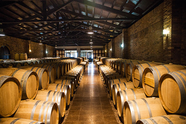 Οινοτουρισμός – Μια μέρα στο αμπέλι-1