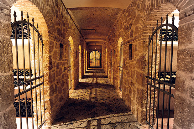 Οινοτουρισμός – Μια μέρα στο αμπέλι-7