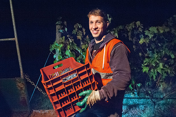 Οινοτουρισμός – Μια μέρα στο αμπέλι-2