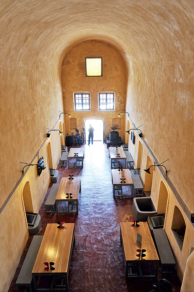 Οινοτουρισμός – Μια μέρα στο αμπέλι-14