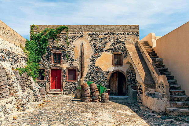 Οινοτουρισμός – Μια μέρα στο αμπέλι-12