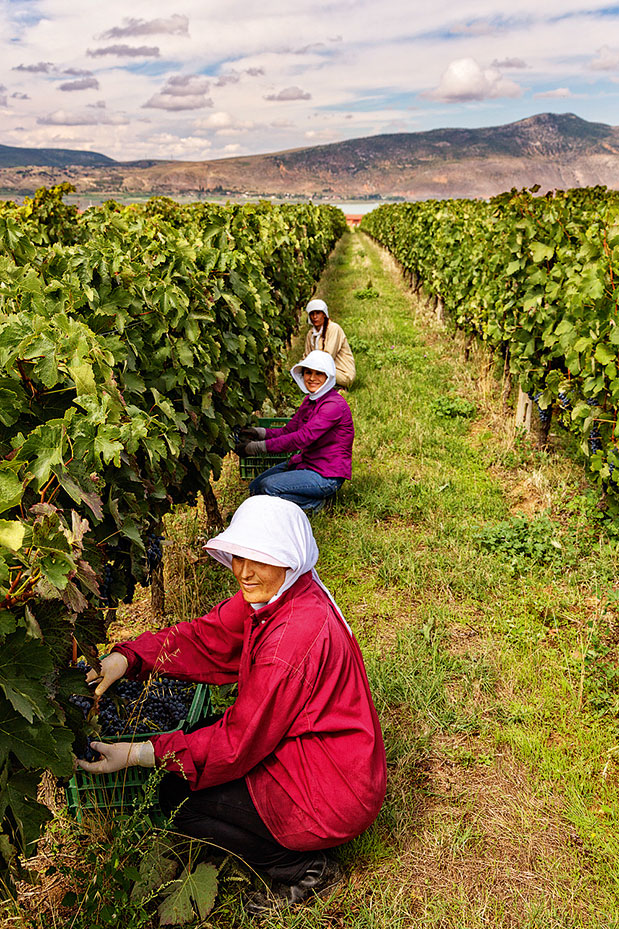 Οινοτουρισμός – Μια μέρα στο αμπέλι-3