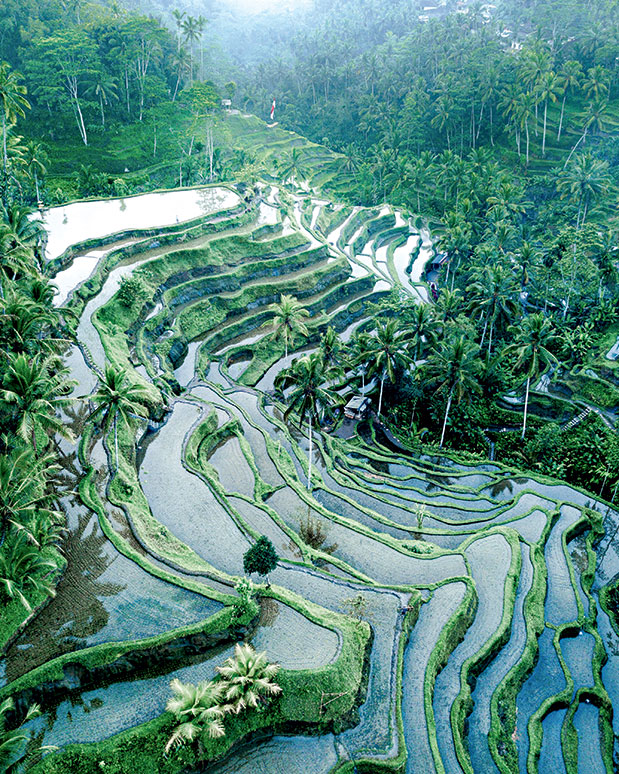 Στιγμές για χιλιάδες likes-2