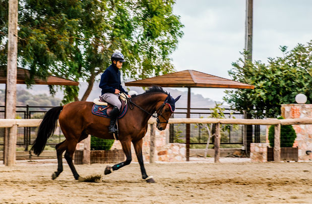 Οι εκπλήξεις του Σαρωνικού-1