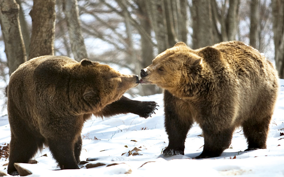 Τα καλύτερα του χειμώνα: Μακεδονία-3