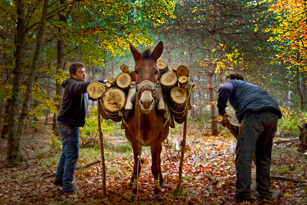 Τα καλύτερα του χειμώνα: Μακεδονία-2