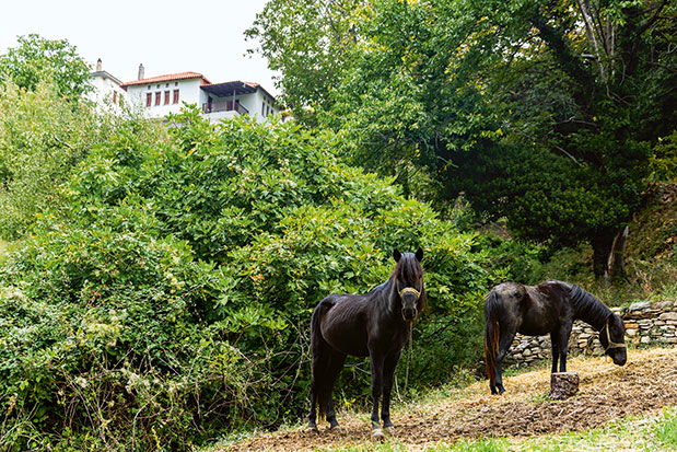 Τα καλύτερα  του χειμώνα: Θεσσαλία-3