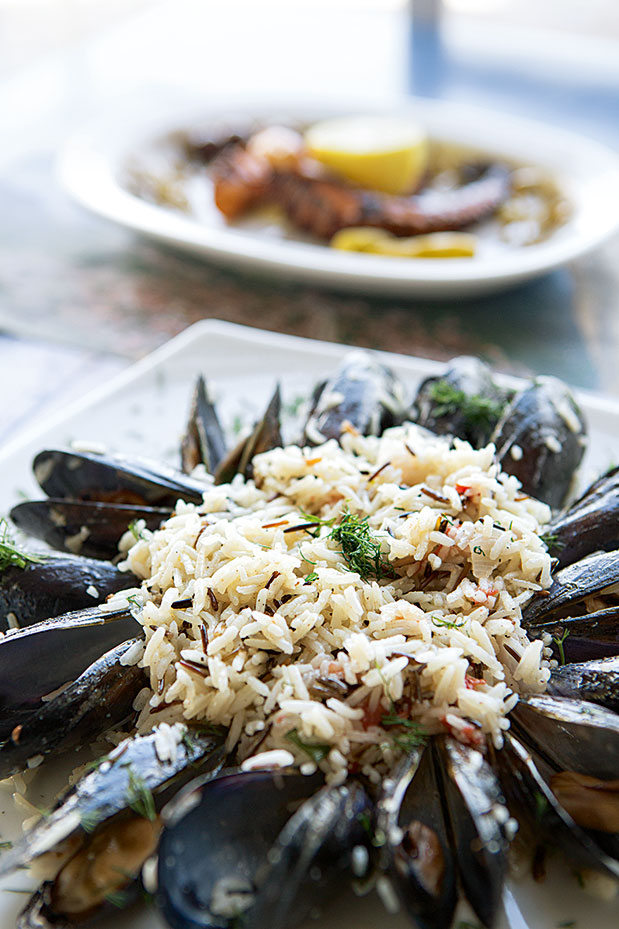 Λεωνίδιο: Τα μυστικά της Τσακωνιάς-10