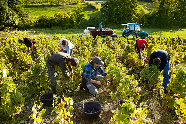 Λυών: Φώτα παντού-8