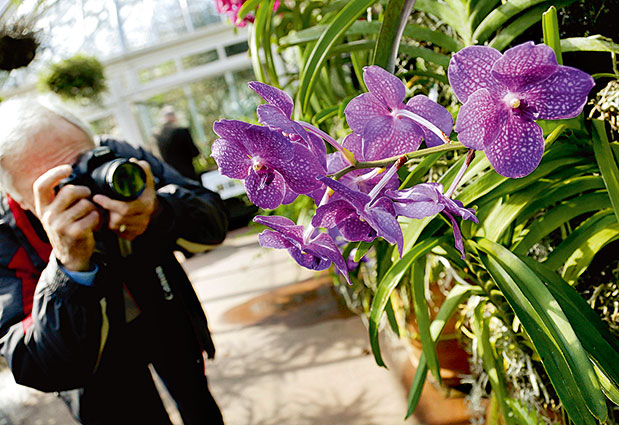 Νέα Υόρκη by locals-3