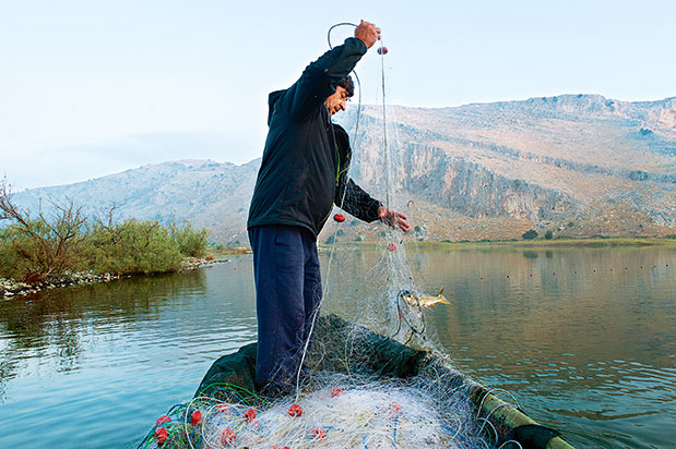 Κοτύχι-Στροφιλιά: Tα μυστικά των υγρότοπων-2