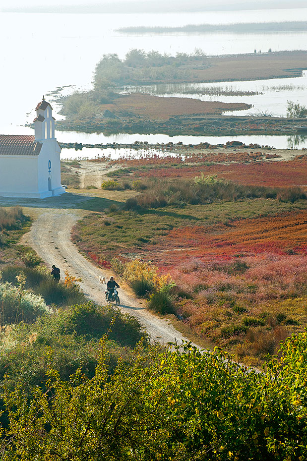 Κοτύχι-Στροφιλιά: Tα μυστικά των υγρότοπων-1