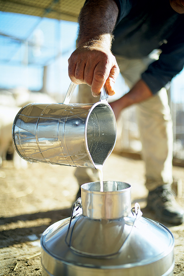 Στις «πηγές» της νοστιμιάς-5