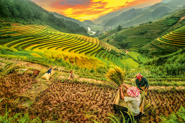 Αφιέρωμα: Εξωτικό 2018-5