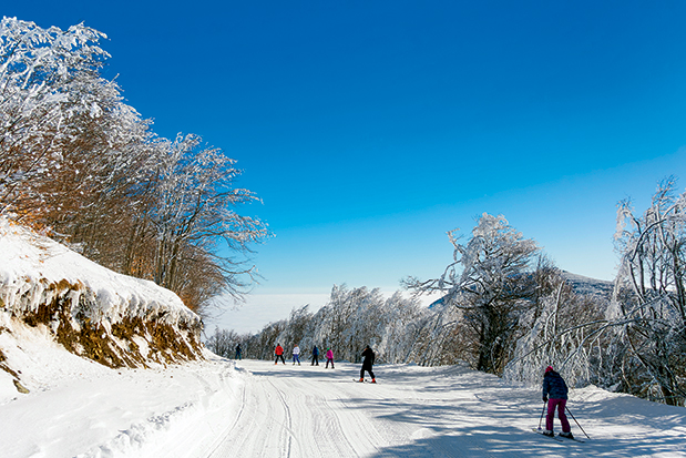Αφιέρωμα: «Λευκός» οδηγός 2018-6