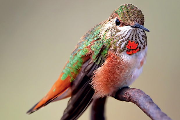 Η «γιορτή» της ταξιδιωτικής φωτογραφίας-1