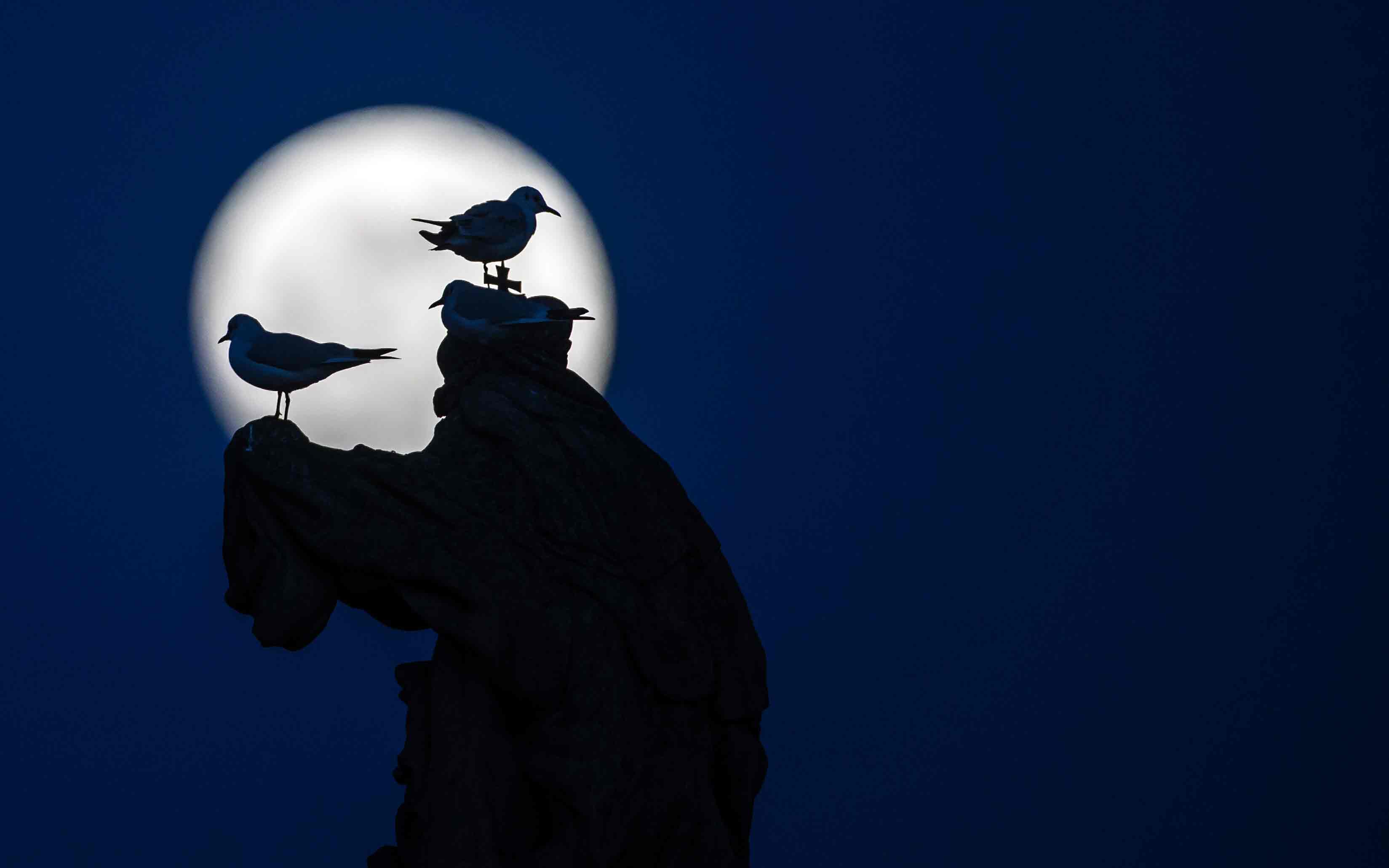 Φωτογραφίες από το τριπλό «σόου» του φεγγαριού-2